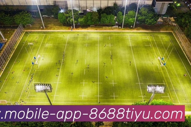 多媒体互动体验